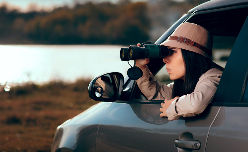 detective privado madrid